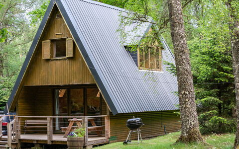 Birchwood Cottage: Plant, Building, Tree, House, Wood, Window, Architecture, Biome, Woody Plant, Shade