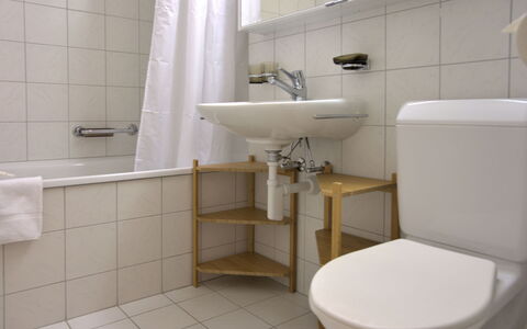Chesa Ginellas: Plumbing Fixture, Property, Tap, Sink, Bathroom, Plant, Building, Bathroom Sink, Interior Design