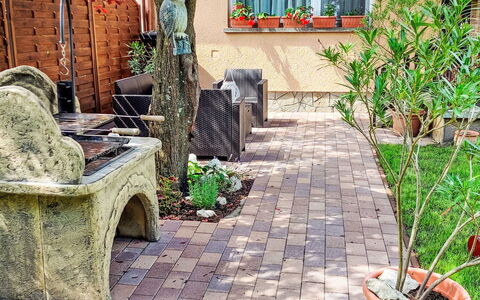 Kaiser: Plant, Window, Building, Tree, Flowerpot, House, Wall, Brick, Grass, Woody Plant