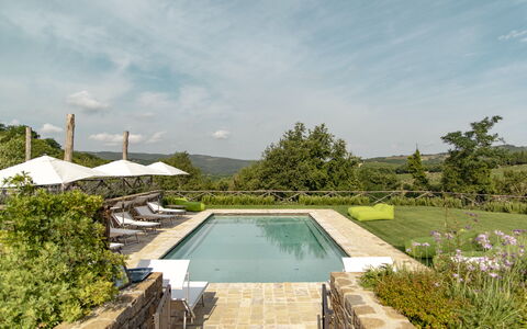 Villa Pianvecchio: Plant, Swimming Pool, Garden, Composite Material, Shrub, Resort, Landscaping, Yard, Tile