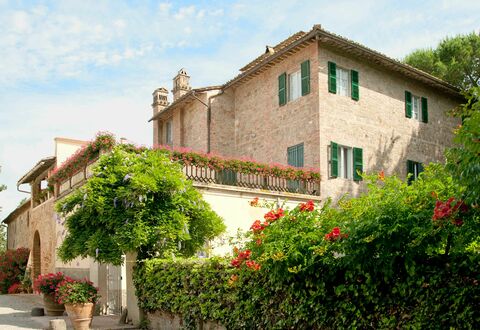 Villa Asciolo: Plant, Shrub, Property, House, Building, Real Estate, Flowerpot, Residential Area, Garden