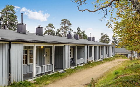 Saariseläntie 8 a 1: Wood, Cottage, Log Cabin, Forest, Shed, Garden Buildings, Larch, Woodland, Wood Stain