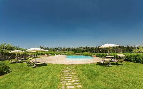 Villa Sole Del Chianti: Plant, Sky, Water, Property, Tree, Azure, Natural Landscape, Swimming Pool, Land Lot, Outdoor Furniture