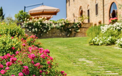 Villa Sole Del Chianti: Flower, Plant, Building, Nature, Botany, Petal, Window, Sky, Tree, Grass