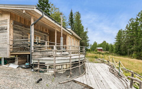 Koivu: Wood, Flooring, Floor, Furniture, Wood Flooring, Interior Design, Bunk Bed, Room, Wood Stain, Hardwood