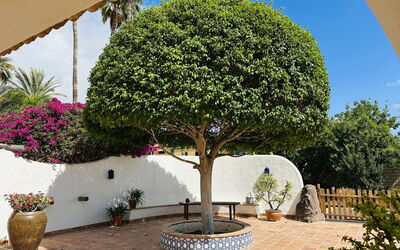 Finca Ingala