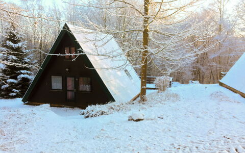 Waldglück: Sky, Property, Snow, Building, Tree, Window, Wood, House, Twig, Plant