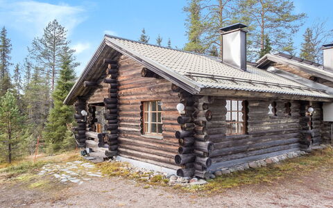 Vuosselin Kuukkeli: Wood, Cottage, Roof, House, Home, Siding, Log Cabin, Larch, Slope, Hut