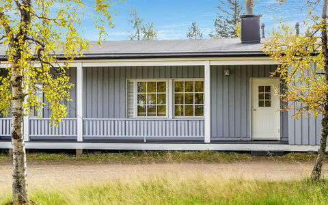 Saariseläntie 8 e 11: Wood, Cottage, Log Cabin, Forest, Shed, Garden Buildings, Larch, Woodland, Wood Stain