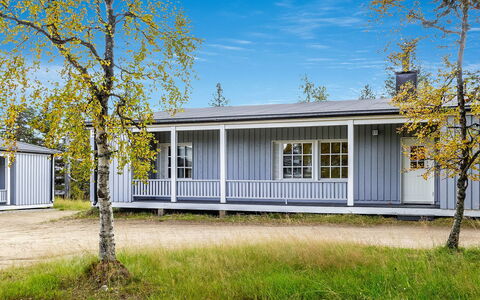 Saariseläntie 8 e 11: Wood, Cottage, Log Cabin, Forest, Shed, Garden Buildings, Larch, Woodland, Wood Stain