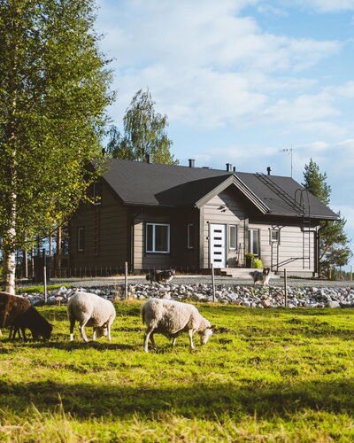 Villa Lystikämä