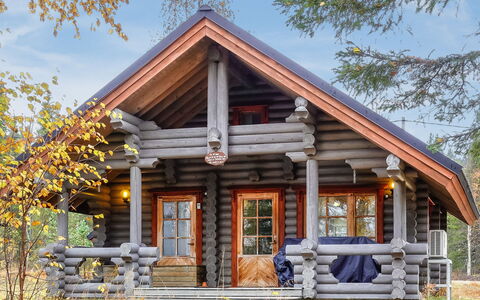 Lomaväinö 13: Wood, Cottage, Log Cabin, Forest, Shed, Garden Buildings, Larch, Woodland, Wood Stain