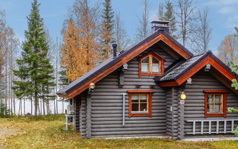 Lomaväinö 13: Wood, Cottage, Log Cabin, Forest, Shed, Garden Buildings, Larch, Woodland, Wood Stain