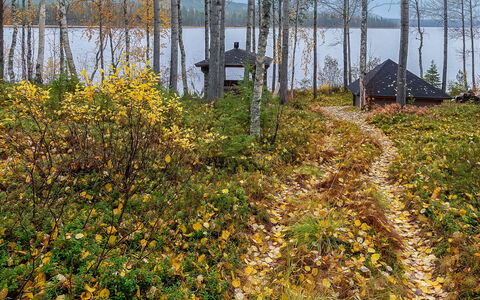 Lomaväinö 13: Wood, Cottage, Log Cabin, Forest, Shed, Garden Buildings, Larch, Woodland, Wood Stain