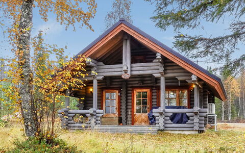 Lomaväinö 13: Wood, Cottage, Log Cabin, Forest, Shed, Garden Buildings, Larch, Woodland, Wood Stain