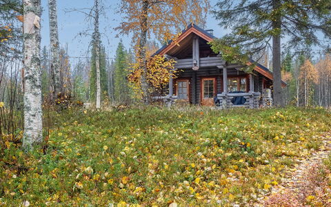Lomaväinö 13: Wood, Cottage, Log Cabin, Forest, Shed, Garden Buildings, Larch, Woodland, Wood Stain