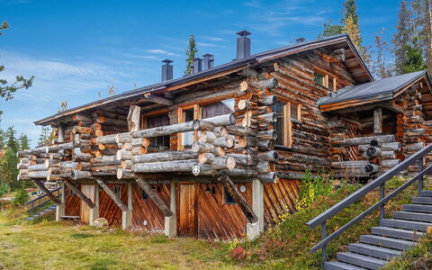 Sallanhelmi C2: Wood, Cottage, Log Cabin, Forest, Shed, Garden Buildings, Larch, Woodland, Wood Stain