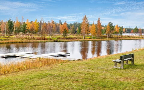 Sallanhelmi C2: Wood, Cottage, Log Cabin, Forest, Shed, Garden Buildings, Larch, Woodland, Wood Stain
