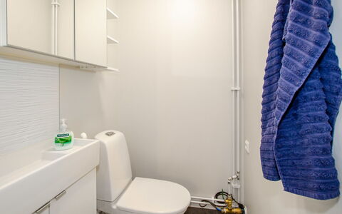 Piitterin Saunatupa: Wall, Flooring, Interior Design, Floor, Plumbing Fixture, Toilet Seat, Toilet, Bathroom, Room, Plumbing
