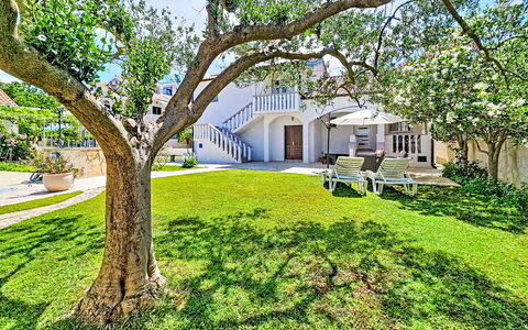 Tone: Garden, Lawn, Shade, Estate, Landscaping, Yard, Hacienda, Mansion, Design, Villa