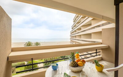 Canet-Plage 500: Property, Building, Plant, Cloud, Sky, Window, Interior Design, Wood, Shade, House
