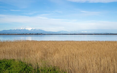 Ajoupa: Blue, Water, Water Resources, Natural Landscape, Horizon, Ecoregion, Bank, Marsh, Plain, Lake