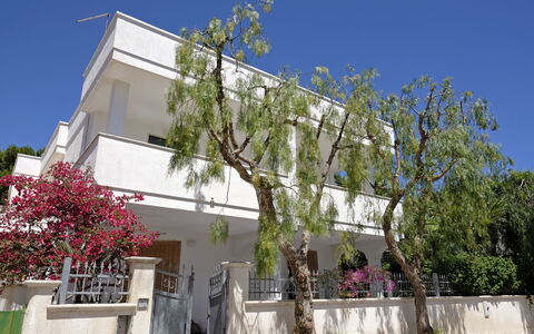 Villa Marlene: Sky, Plant, Building, Daytime, Property, Window, Tree, House, Neighbourhood, Urban Design