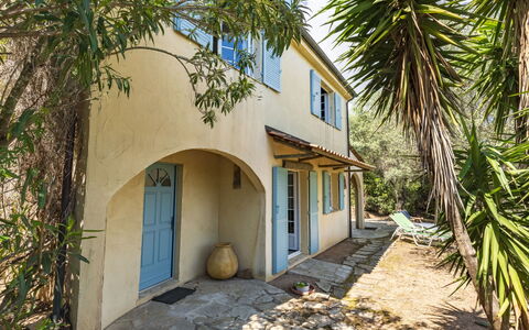 Villa Pavellone: Plant, Building, Property, Window, Plant Community, Leaf, Tree, Land Lot, Door, Biome