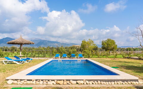 Son Bordoi: Sky, Water, Plant, Cloud, Property, Swimming Pool, Azure, Tree, Rectangle, Land Lot