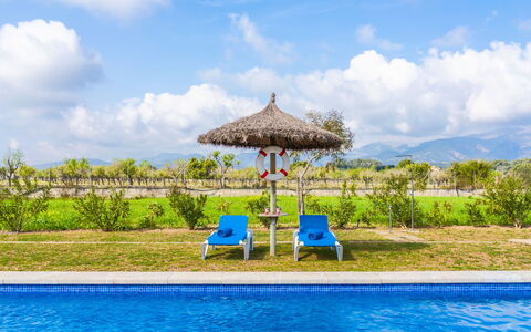 Son Bordoi: Water, Plant, Cloud, Sky, Property, Blue, Azure, Swimming Pool, Natural Landscape, Outdoor Furniture