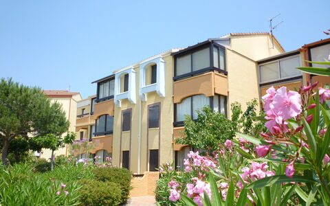 Saint Cyprien 250: Flower, Sky, Plant, Building, Window, Plant Community, Vegetation, Tree, House, Grass
