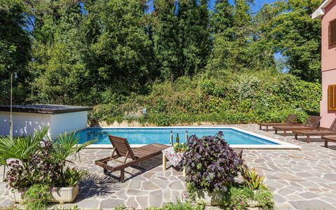 Vinka: Plant, Water, Swimming Pool, Azure, Botany, Shade, Outdoor Furniture, Vegetation, Tree, Shrub