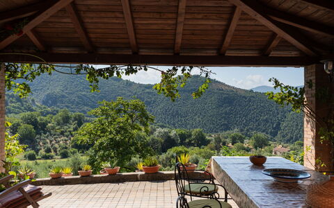 Farfa: Plant, Table, Flowerpot, Shade, Interior Design, Building, Cottage, Wood, Chair, Leisure