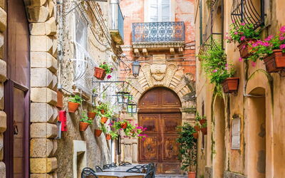 Loving Times Apartment: Building, Plant, Flower, Window, Table, Houseplant, Door, Wood, Flowerpot, Road