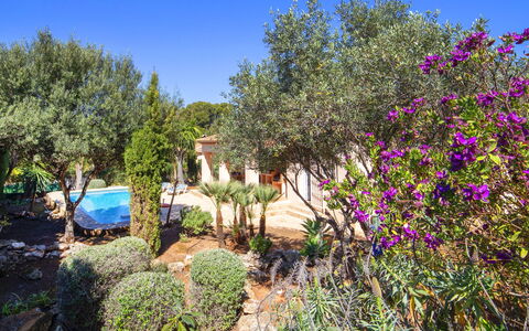 Flamenco: Plant, Sky, Flower, Natural Landscape, Tree, Shrub, House, Landscape, Groundcover, Grass