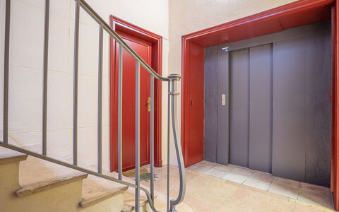 Broussais: Building, Wood, Hall, Flooring, Floor, Wall, Material Property, Hardwood, Composite Material