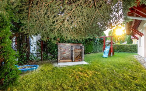 Silver Pinea: Plant, Leaf, Tree, Vegetation, Grass, Landscape, Chair, Natural Landscape, Shrub, Woody Plant