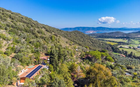 La Tordara: Sky, Cloud, Plant, Tree, Road Surface, Asphalt, Land Lot, House, Composite Material, Fence