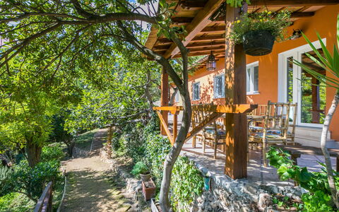 La Tordara: Sky, Cloud, Plant, Tree, Road Surface, Asphalt, Land Lot, House, Composite Material, Fence