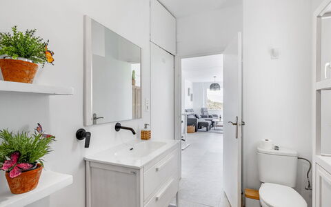 Leonor: Plant, Flowerpot, White, Houseplant, Building, Sink, Bathroom, Interior Design, Wood, Floor