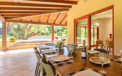 Vittoria: Table, Furniture, Plant, Property, Chair, Tableware, Interior Design, Wood, Window, Flowerpot