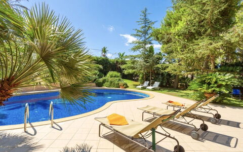 Vittoria: Plant, Water, Sky, Property, Plant Community, Swimming Pool, Shade, Outdoor Furniture, Natural Landscape, Tree