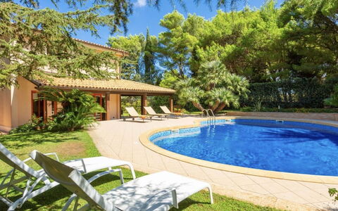 Vittoria: Water, Plant, Property, Sky, Swimming Pool, Botany, Azure, Building, Tree, Shade