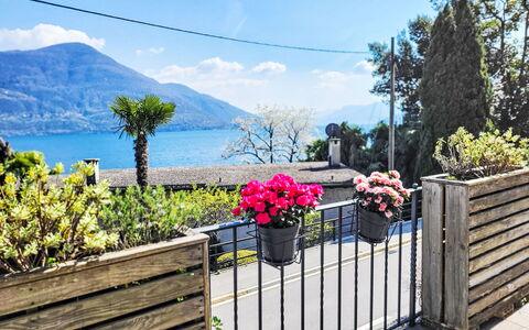 Brissago 724: Flowerpot, Fence, Balcony, Houseplant, Shade, Home Fencing, Porch, Floristry, Eco Hotel