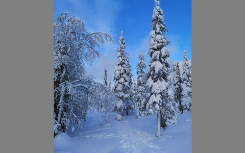 Luppokero: Wood, House, Snow, Cottage, Home, Winter, Roof, Freezing, Siding, Slope