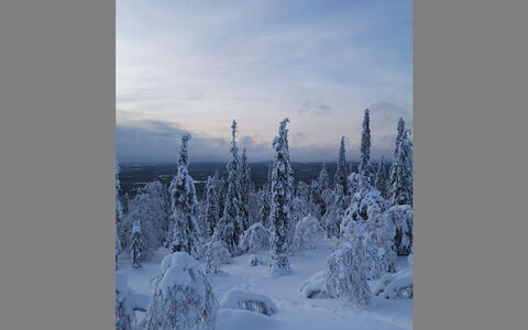 Luppokero: Wood, House, Snow, Cottage, Home, Winter, Roof, Freezing, Siding, Slope