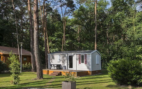 De Brenkberg: Plant, Building, Property, Window, Tree, House, Vegetation, Sky, Land Lot, Grass