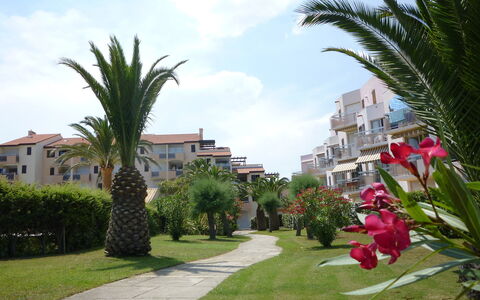 Saint Cyprien 660: Sky, Plant, Cloud, Property, Building, Window, Flower, House, Tree, Terrestrial Plant