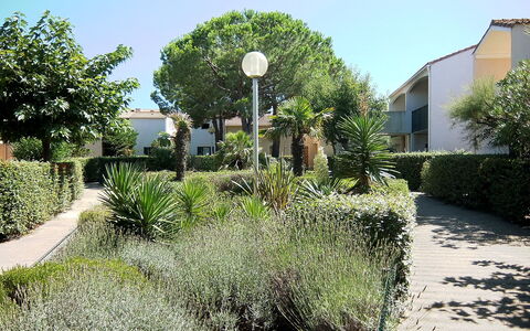 Saint Cyprien 700: Plant, Sky, Building, Plant Community, Nature, Window, Tree, Street Light, Natural Landscape, House