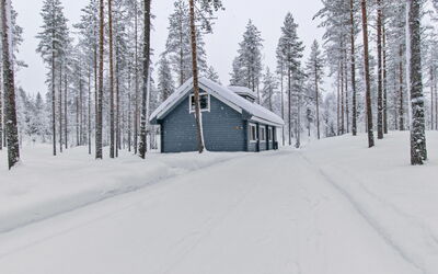 Ilves